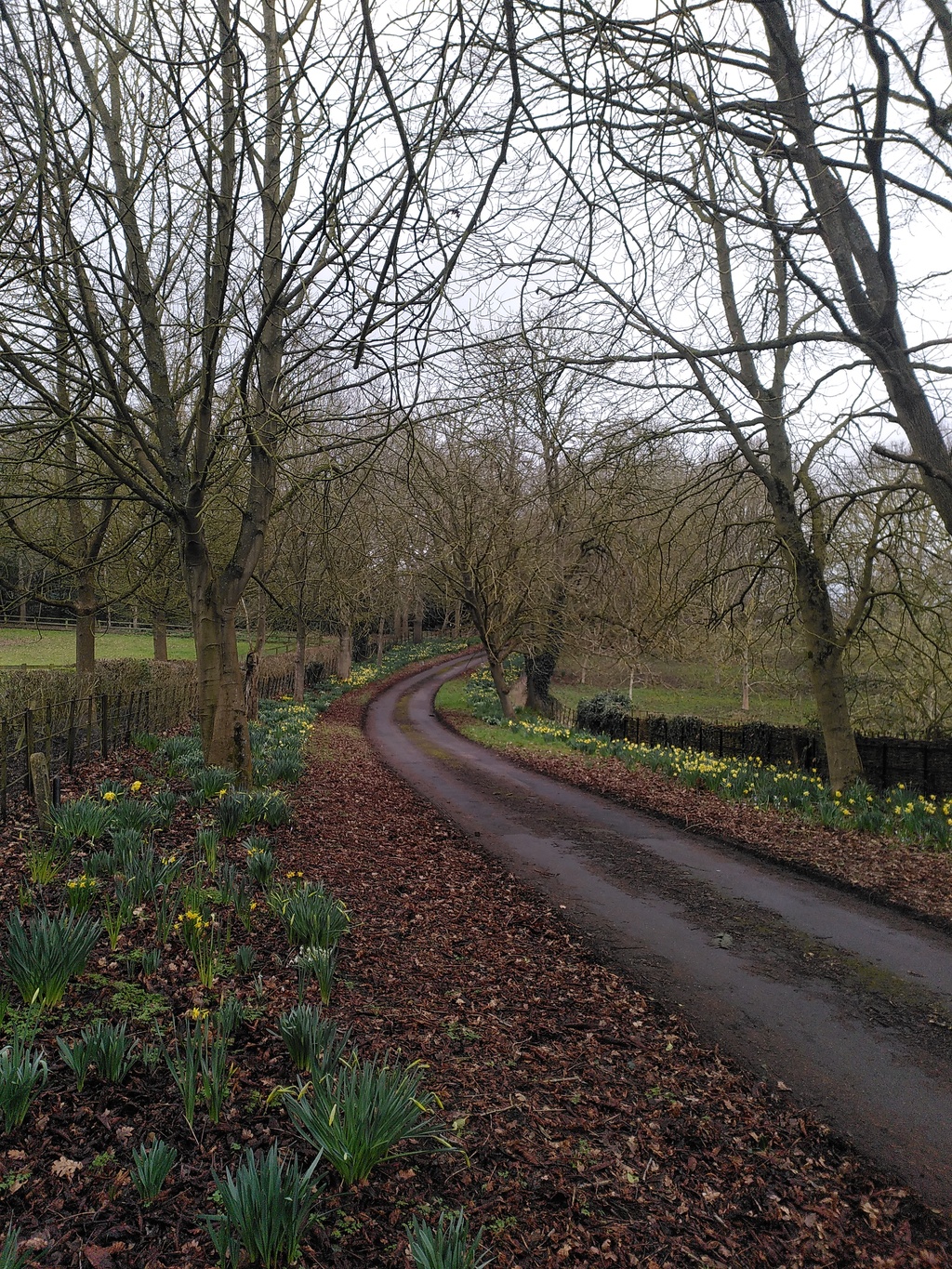 04_muddy_countryside.jpg