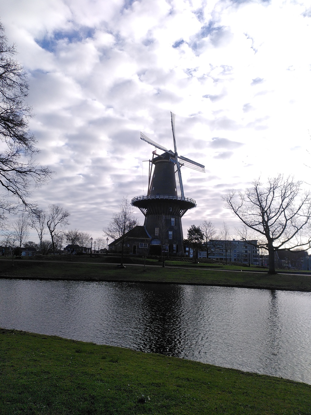 09_leida_windmill.jpg